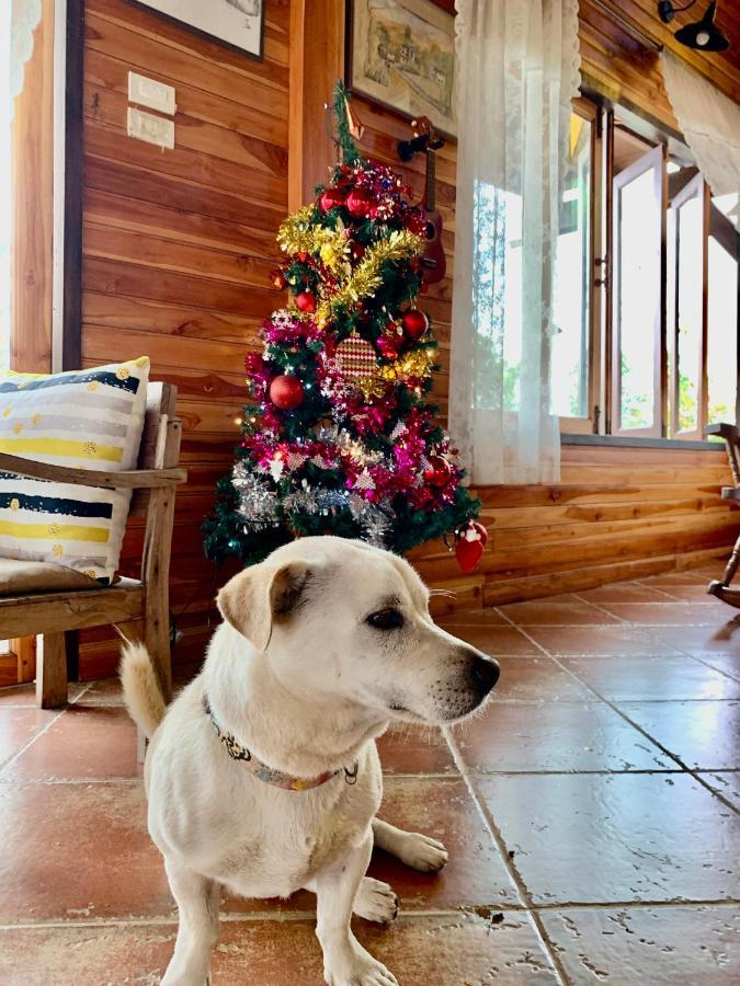 Rang Robin Farmstay For 4 With Pool Ban Wang Muang Экстерьер фото